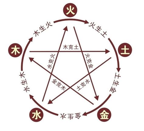 珊五行|珊字的五行属性